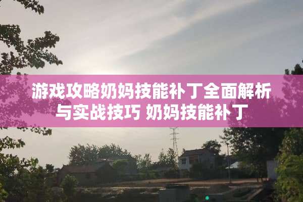 游戏攻略奶妈技能补丁全面解析与实战技巧 奶妈技能补丁