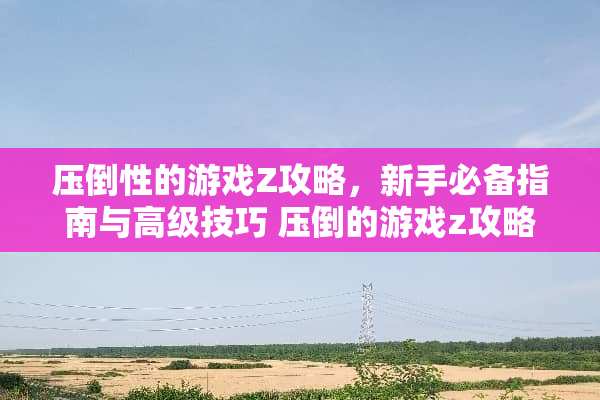 压倒性的游戏Z攻略，新手必备指南与高级技巧 压倒的游戏z攻略