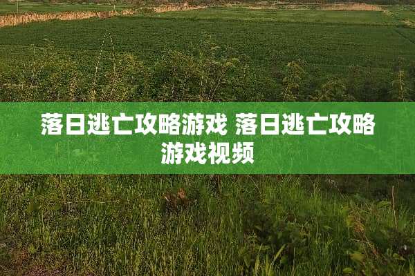 落日逃亡攻略游戏 落日逃亡攻略游戏视频