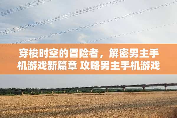 穿梭时空的冒险者，解密男主手机游戏新篇章 攻略男主手机游戏