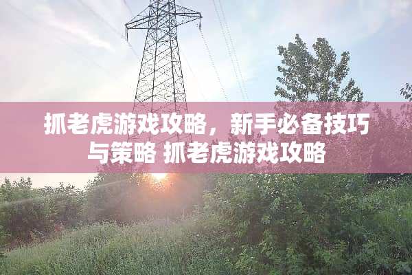 抓老虎游戏攻略，新手必备技巧与策略 抓老虎游戏攻略