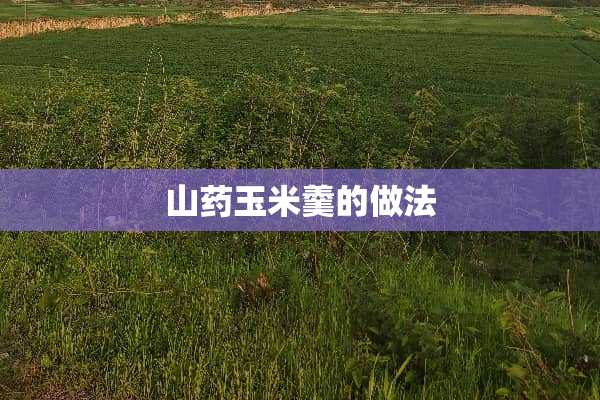 山药玉米羹的做法