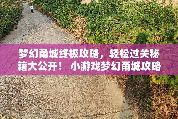 梦幻甬城终极攻略，轻松过关秘籍大公开！ 小游戏梦幻甬城攻略攻略
