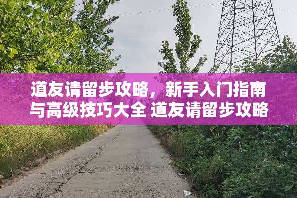 道友请留步攻略，新手入门指南与高级技巧大全 道友请留步攻略