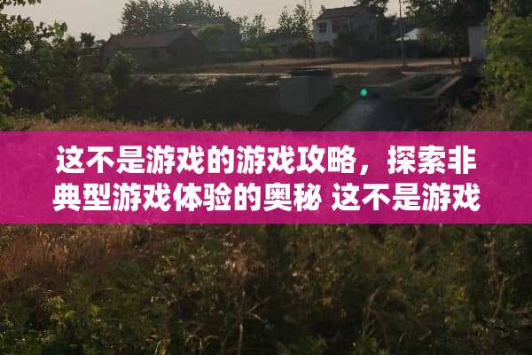 这不是游戏的游戏攻略，探索**型游戏体验的奥秘 这不是游戏的游戏攻略