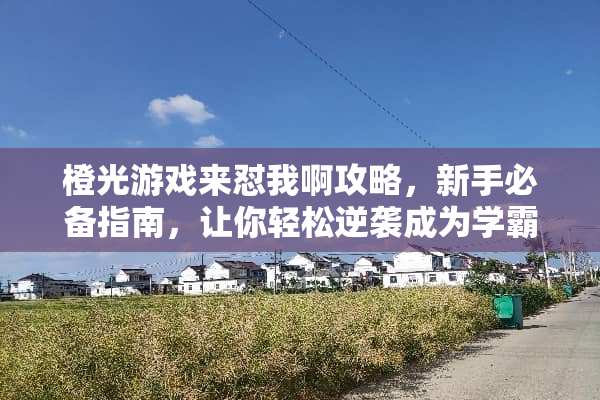 橙光游戏来怼我啊攻略，新手必备指南，让你轻松逆袭成为学霸！ 橙光游戏来怼我啊攻略