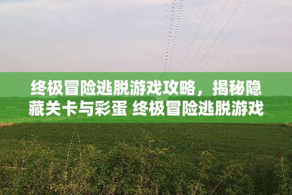 终极冒险逃脱游戏攻略，揭秘隐藏关卡与彩蛋 终极冒险逃脱游戏攻略2