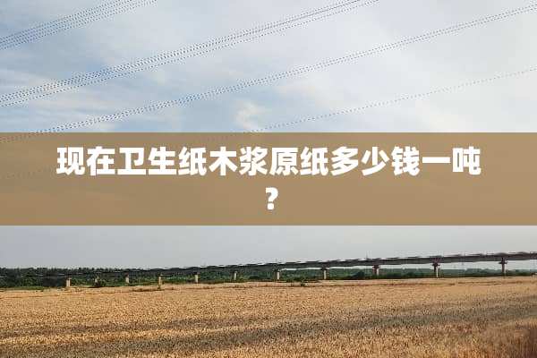 现在卫生纸木浆原纸多少钱一吨？