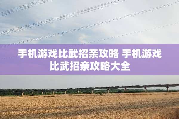手机游戏比武招亲攻略 手机游戏比武招亲攻略大全