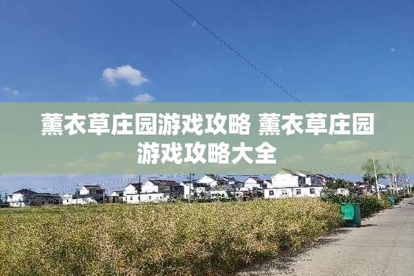 薰衣草庄园游戏攻略 薰衣草庄园游戏攻略大全