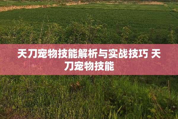 天刀宠物技能解析与实战技巧 天刀宠物技能