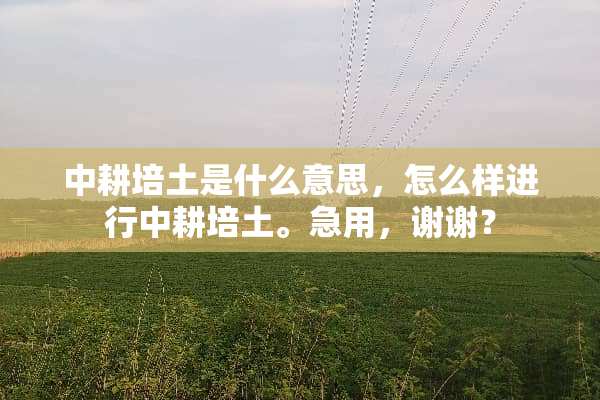 中耕培土是什么意思，怎么样进行中耕培土。急用，谢谢？