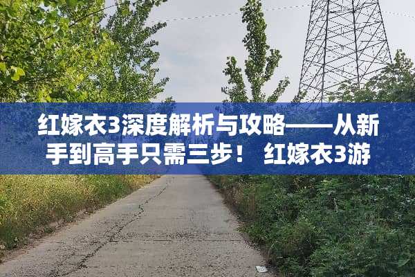 红嫁衣3深度解析与攻略——从新手到高手只需三步！ 红嫁衣3游戏攻略第3
