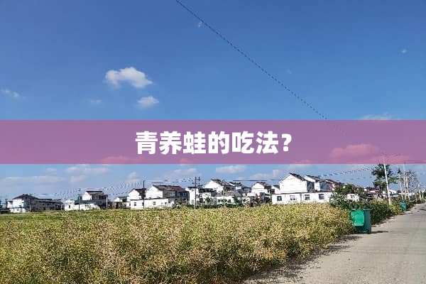 青养蛙的吃法？