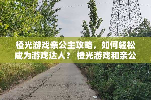 橙光游戏亲公主攻略，如何轻松成为游戏达人？ 橙光游戏和亲公主攻略