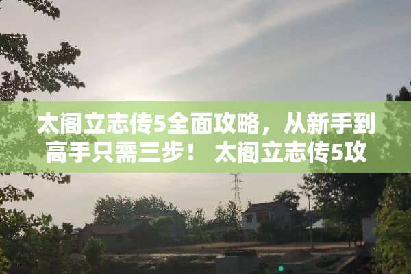 太阁立志传5全面攻略，从新手到高手只需三步！ 太阁立志传5攻略