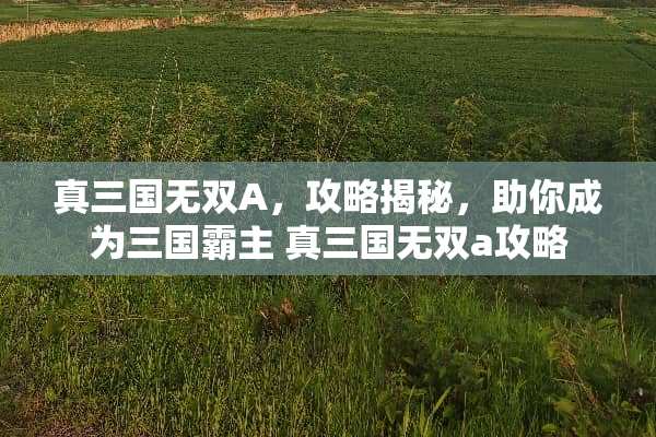 真三国无双A，攻略揭秘，助你成为三国霸主 真三国无双a攻略