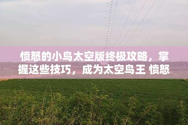 愤怒的小鸟太空版终极攻略，掌握这些技巧，成为太空鸟王 愤怒的小鸟太空版攻略