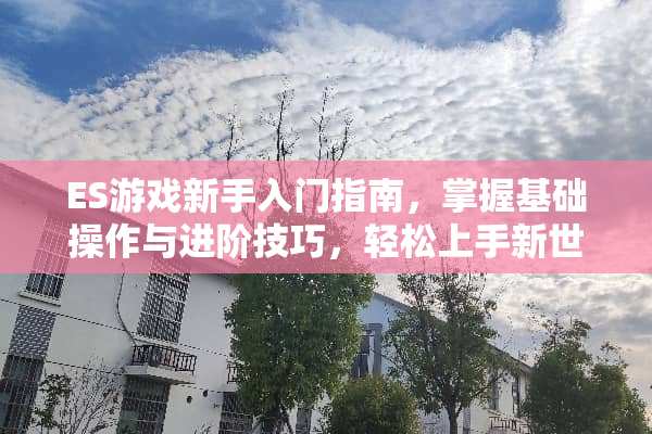 ES游戏新手入门指南，掌握基础操作与进阶技巧，轻松上手新世界 es游戏新人攻略