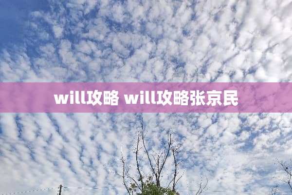 will攻略 will攻略张京民