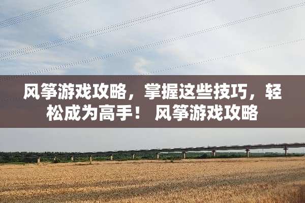 风筝游戏攻略，掌握这些技巧，轻松成为高手！ 风筝游戏攻略