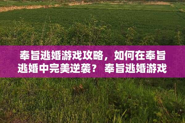 奉旨**游戏攻略，如何在奉旨**中完美逆袭？ 奉旨**游戏完整攻略