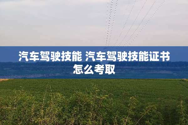 汽车驾驶技能 汽车驾驶技能证书怎么考取
