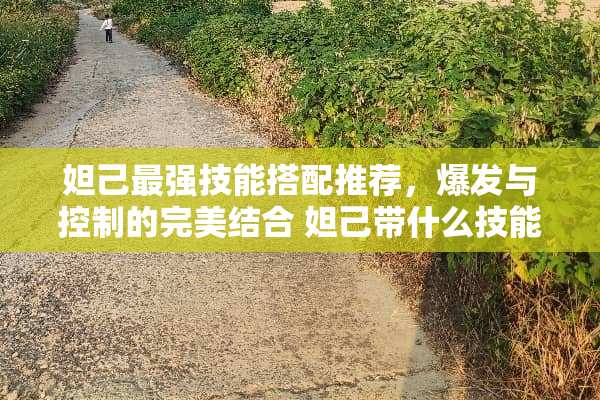 妲己最强技能搭配推荐，爆发与控制的完美结合 妲己带什么技能好