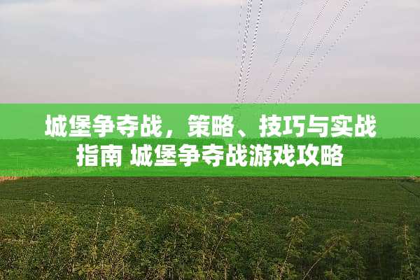 城堡争夺战，策略、技巧与实战指南 城堡争夺战游戏攻略