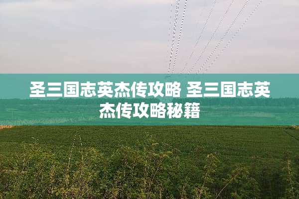 圣三国志英杰传攻略 圣三国志英杰传攻略秘籍