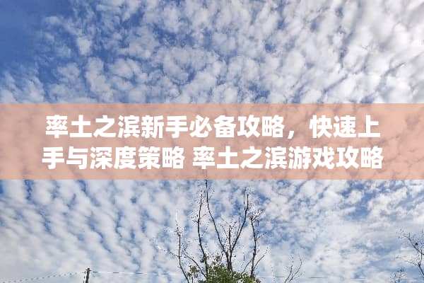率土之滨新手必备攻略，快速上手与深度策略 率土之滨游戏攻略pdf