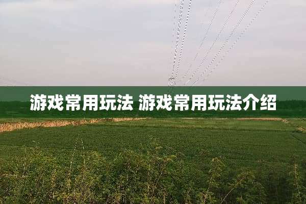 游戏常用玩法 游戏常用玩法介绍