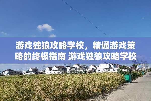 游戏独狼攻略学校，精通游戏策略的终极指南 游戏独狼攻略学校