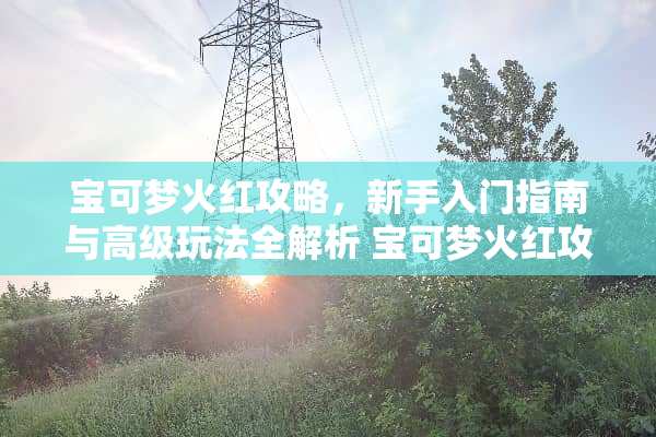 宝可梦火红攻略，新手入门指南与高级玩法全解析 宝可梦火红攻略