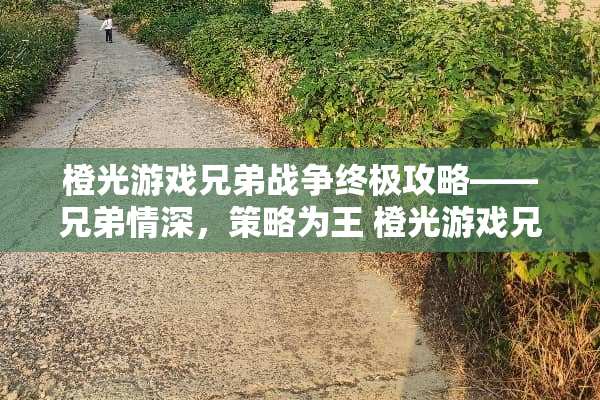 橙光游戏兄弟战争终极攻略——兄弟情深，策略为王 橙光游戏兄弟战争攻略