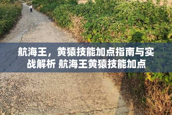 航海王，黄猿技能加点指南与实战解析 航海王黄猿技能加点