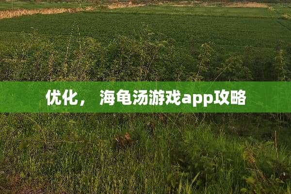 优化， 海龟汤游戏app攻略