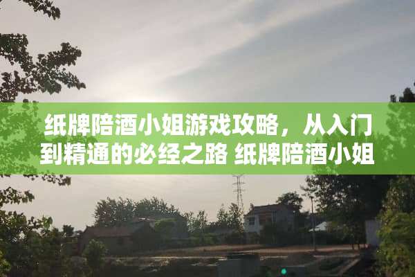 纸牌陪酒小姐游戏攻略，从入门到精通的必经之路 纸牌陪酒小姐游戏攻略