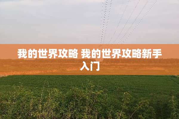 我的世界攻略 我的世界攻略新手入门
