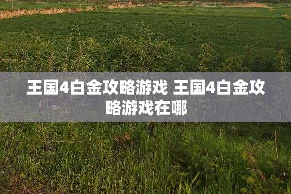 王国4白金攻略游戏 王国4白金攻略游戏在哪