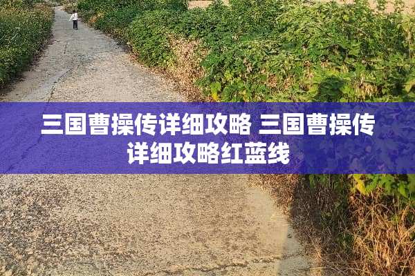 三国曹操传详细攻略 三国曹操传详细攻略红蓝线