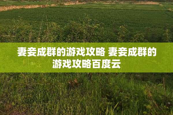 妻妾成群的游戏攻略 妻妾成群的游戏攻略百度云