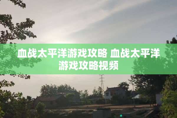 血战太平洋游戏攻略 血战太平洋游戏攻略视频