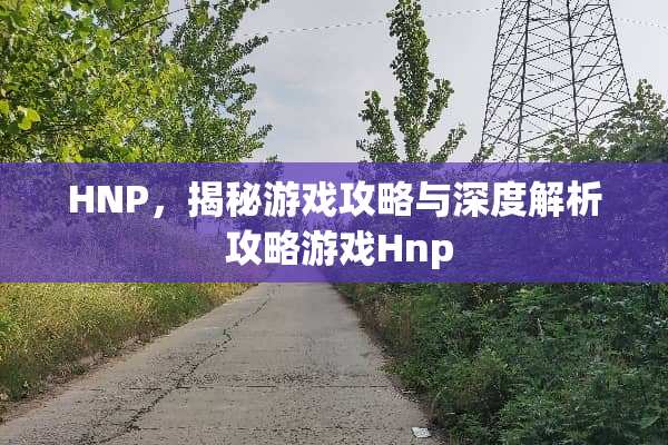 HNP，揭秘游戏攻略与深度解析 攻略游戏Hnp