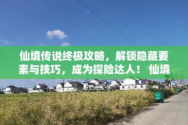 仙境传说终极攻略，解锁隐藏要素与技巧，成为探险达人！ 仙境传说攻略