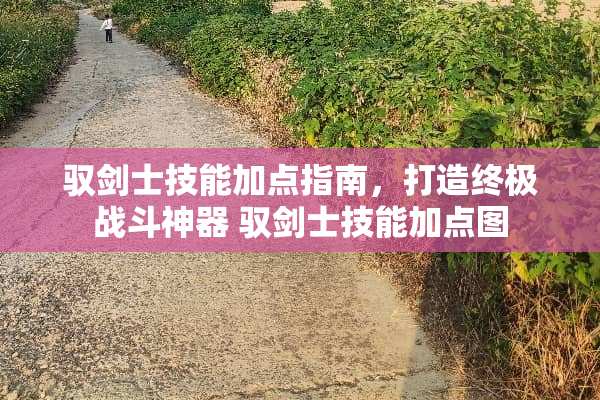 驭剑士技能加点指南，打造终极战斗神器 驭剑士技能加点图