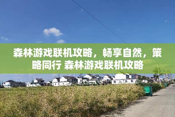 森林游戏联机攻略，畅享自然，策略同行 森林游戏联机攻略
