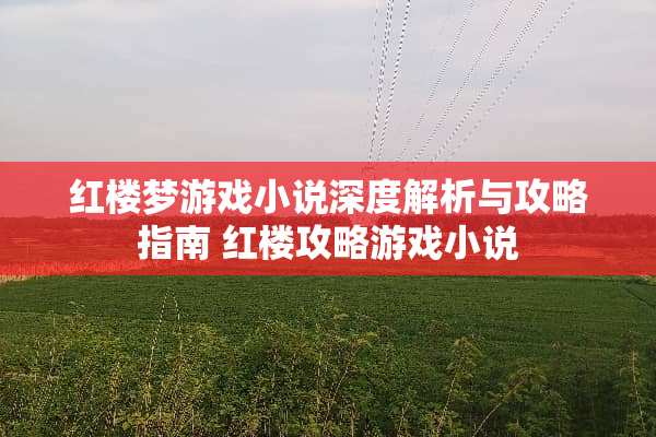 红楼梦游戏小说深度解析与攻略指南 红楼攻略游戏小说