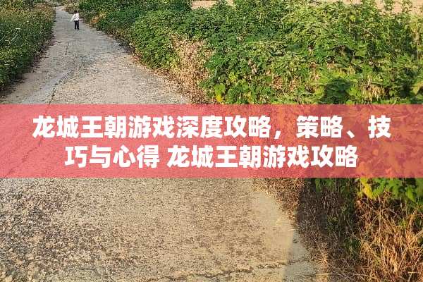 龙城王朝游戏深度攻略，策略、技巧与心得 龙城王朝游戏攻略