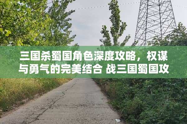 三国杀蜀国角色深度攻略，权谋与勇气的完美结合 战三国蜀国攻略